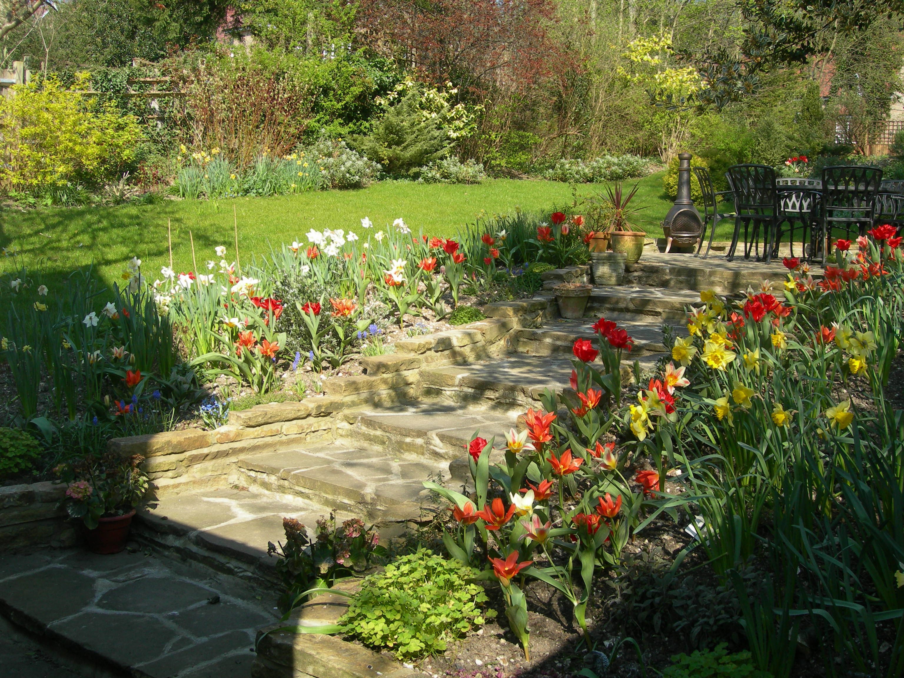 spring bloom of bulbs - wonderful
