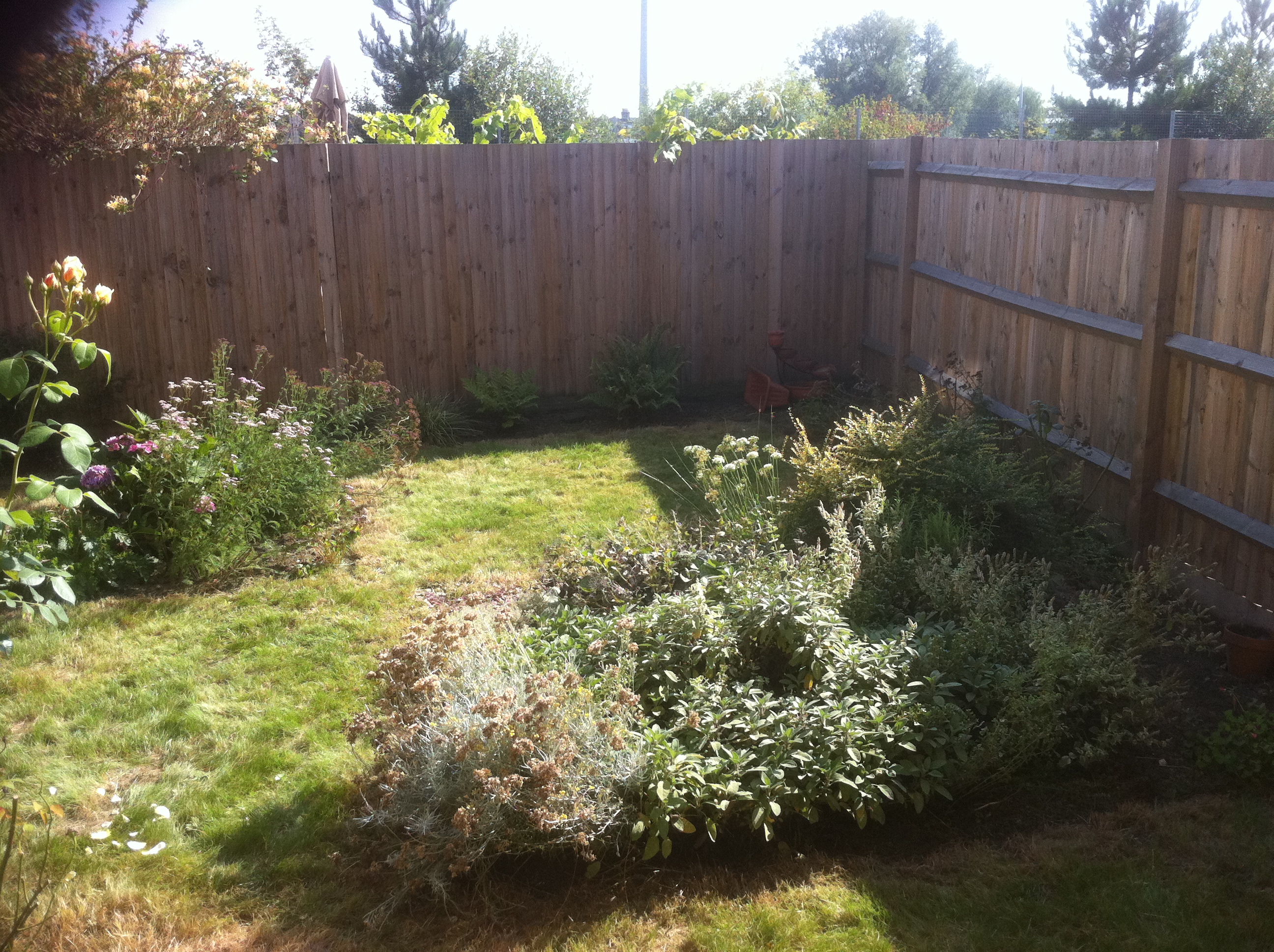 Garden tidy after