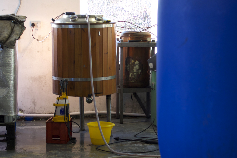 calamus root beer fermenter