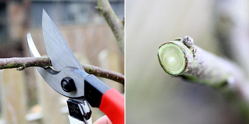 Okatsune Japanese pruners