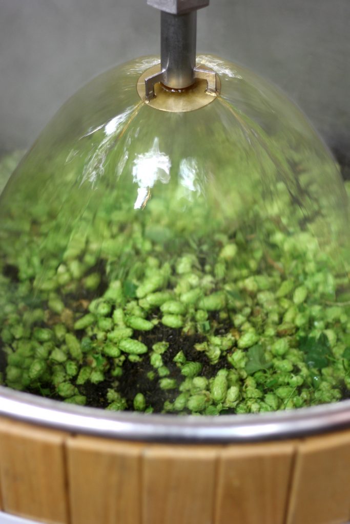 Hot malt hop back
