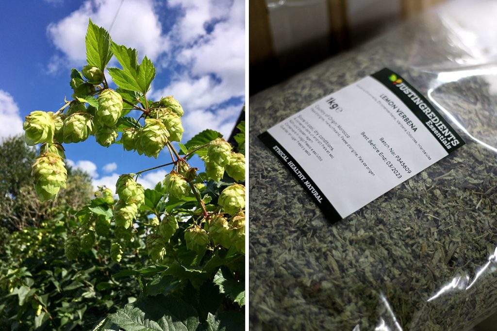 Wild Hops St Austell Brewery